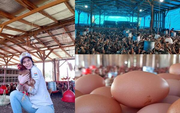 Joven veterinaria emprendió y ahora tiene tres galpones repletos de aves en Caazapá – Prensa 5
