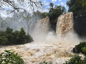 Cayó a las Cataratas del Iguazú al intentar tomarse una selfie - ABC en el Este - ABC Color