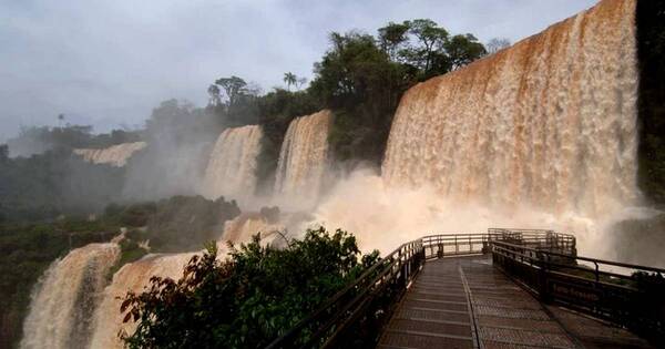 La Nación / Cataratas del Iguazú: buscan a turista que cayó desde el Salto Bossetti al querer tomarse una selfie