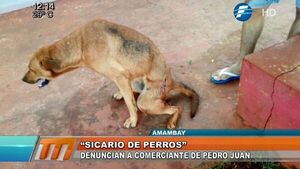 Hombre queda detenido tras disparar contra un perro