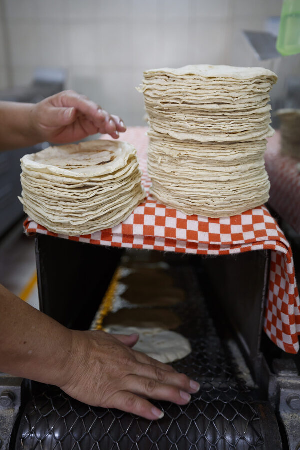 Organización mexicana dice que precio de tortilla no bajará en próximos meses - MarketData