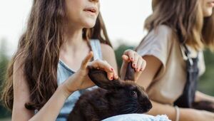Niñas y participación política: ellas creen que involucrarse es importante, pero su comunidad no tanto