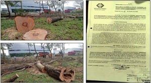 Documento de dudoso origen estaría evitando imputación de Prieto por criminal tala
