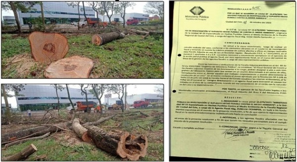 Documento de dudoso origen estaría evitando imputación de Prieto por criminal tala