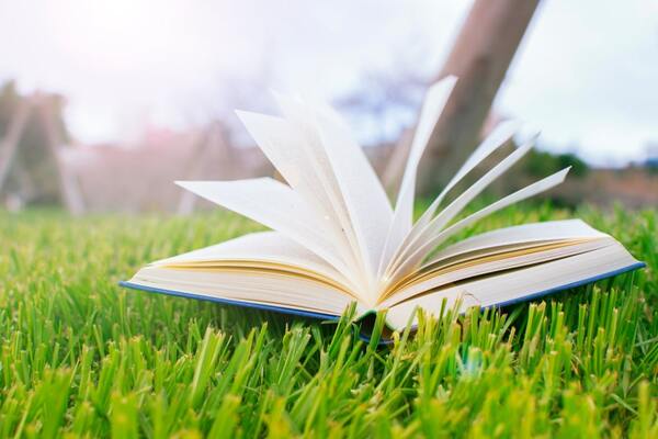 Presentan anteproyecto de ley del libro | 1000 Noticias