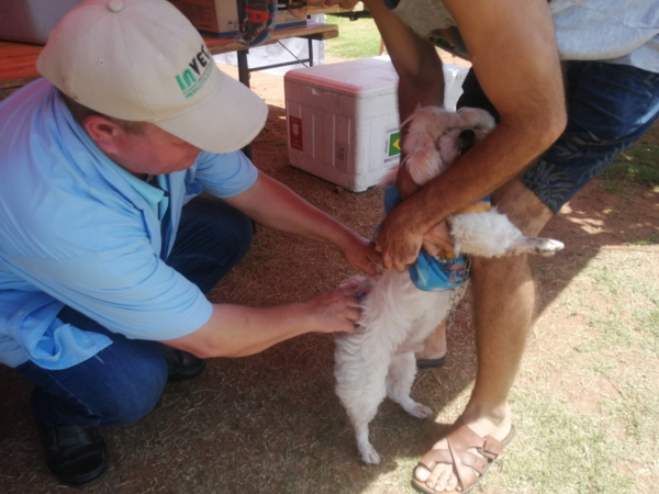 Diario HOY | Unas 300 mascotas vacunadas y más de 330 desparasitadas en la Costanera