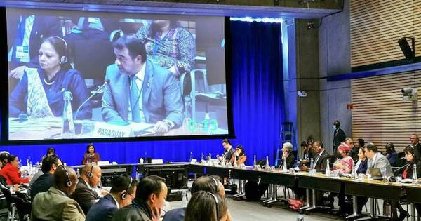 La Nación / Paraguay debe profundizar sistemas de protección social