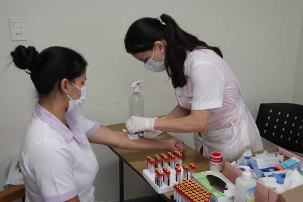 Investigación sobre yerba mate y el hipotiroidismo está en su última fase - Unicanal