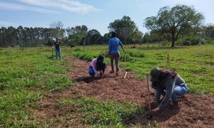 Realizan arborización en Minga Guazú