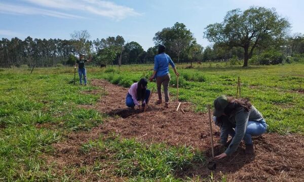 Realizan arborización en Minga Guazú