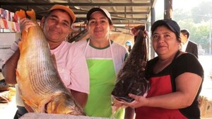 Veda pesquera arranca el 1 de noviembre, recuerda Mades - Unicanal