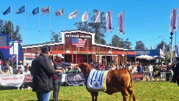 Buscan sabiduría de ganaderos paraguayos: son requeridos como jurados en competencias internacionales