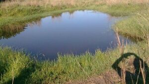 Nene de 3 años se ahogó en un tajamar
