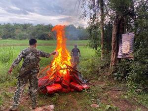 Senad incautó más de 1.200 kilos de marihuana en Saltos del Guairá - .::Agencia IP::.