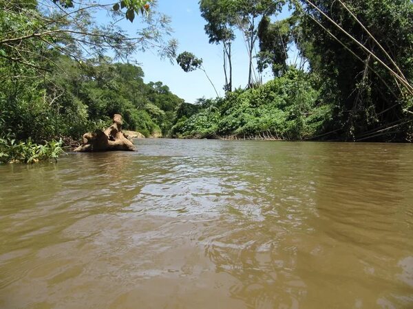 Hallan cuerpo de nativo que fue arrastrado por el río Aquidabán - Policiales - ABC Color