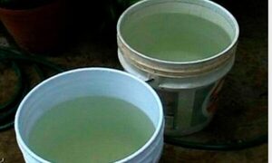 Bebé de 1 año cayó en balde de agua y murió