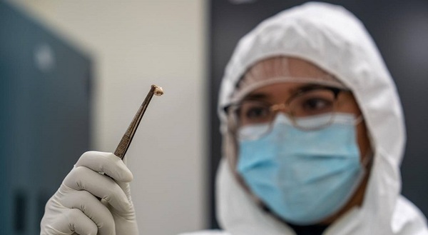 Diario HOY | Peste negra modificó nuestros genes y sistema inmune