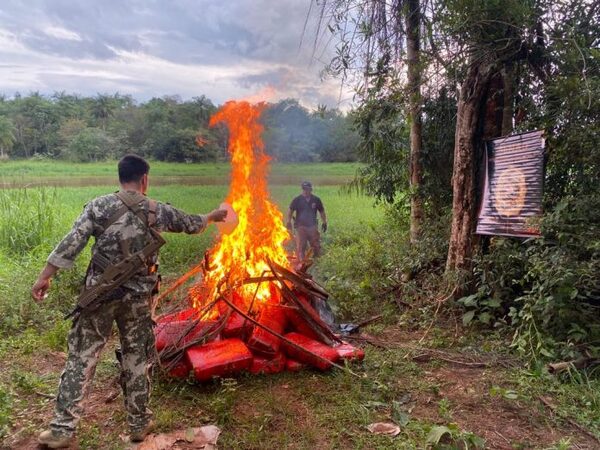 Senad incautó más de 1.200 kilos de marihuana