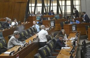 Diputados queda sin quórum y “bicicleteo” de deuda del IPS fue postergado - Política - ABC Color