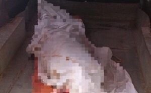 Hallan cadáver de sexagenario y sospechan de ahogamiento