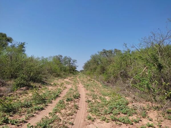 Proyecto de ley que busca reactivar la prospección de hidrocarburos en reserva es inconstitucional - Economía - ABC Color