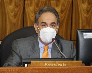 Senador niega ser beneficiario de exoneración de la ANDE | 1000 Noticias