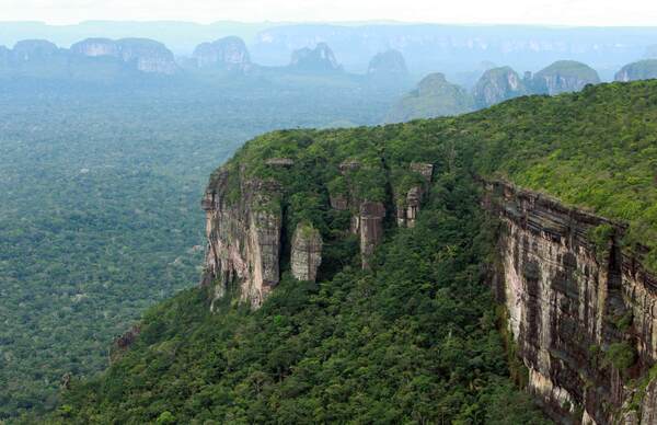 La crisis climática y la deforestación amenazan áreas naturales claves de Colombia - MarketData