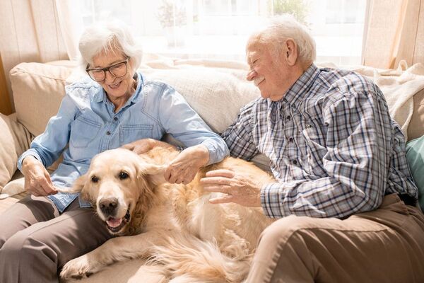 ¿Tener mascota ayuda a mejorar el alzheimer?
