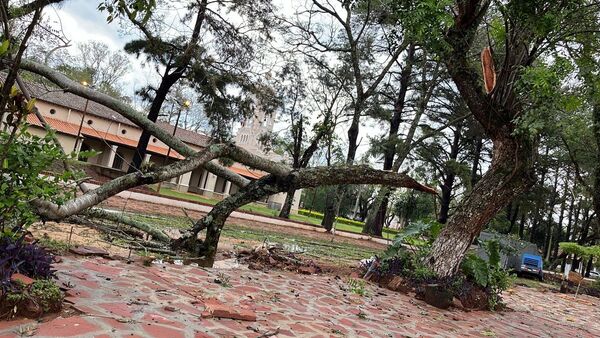 Tormenta dejó cuantiosos daños en Misiones