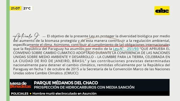 Prospección de hidrocarburos con media sanción - Mesa de Periodistas - ABC Color