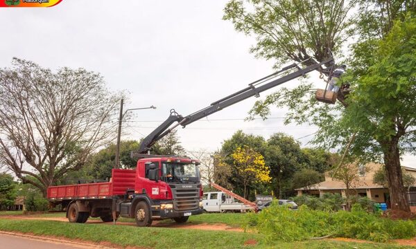 Podan árboles para instalar alumbrados públicos en Mallorquín