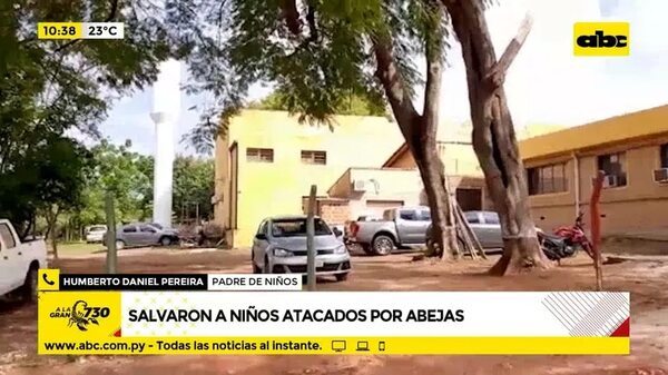 Salvaron a niños atacados por abejas - ABC Noticias - ABC Color