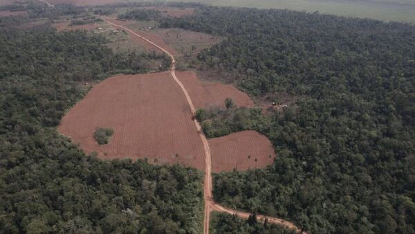 Exponen el avance de menonitas sobre bosques y tierras indígenas