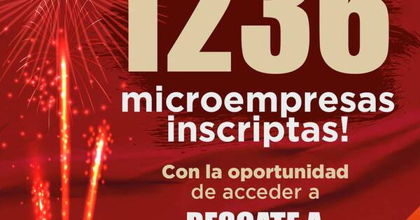 La Nación / Concursarán más de 1.200 microempresas
