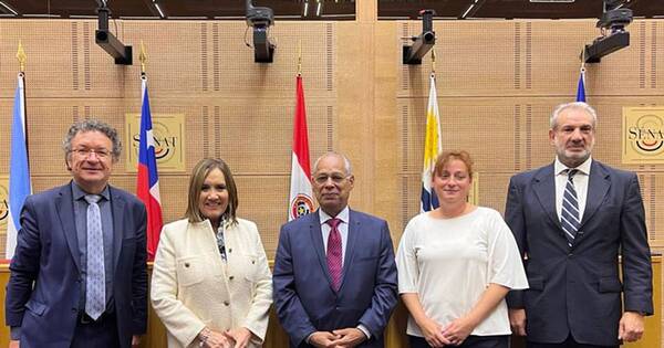 La Nación / Embajadora paraguaya expuso situación actual del país ante miembros del parlamento francés