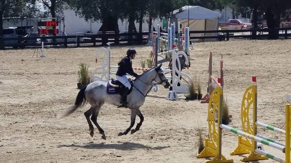 Siguen saltando los paraguayos en el Sudamericano de Hipismo - Polideportivo - ABC Color