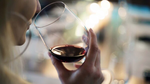¿De dónde provienen los aromas del vino? | Columnas | 5Días