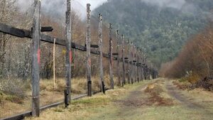 Los hoteles mágicos del sur de Chile que se funden con la naturaleza - Viajes - ABC Color