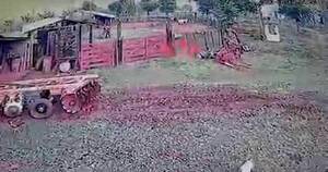 La Nación / Caaguazú: Emprendedor fue encontrado muerto