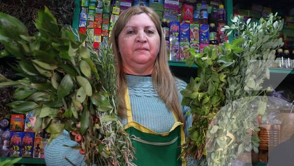 Crónica / Tips para espantar la mala onda y hacer que la plata te rinda con algunos yuyitos