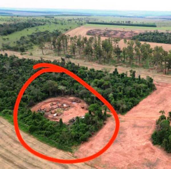 Imputan a administrador de establecimiento rural por tala de árboles - La Clave