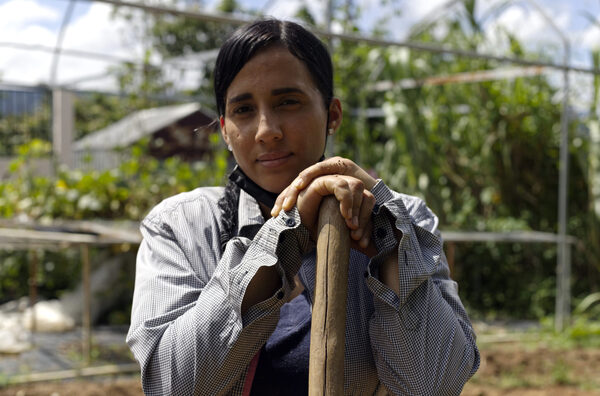 El filme "Serán dueñas de la tierra" reivindica la agricultura de Puerto Rico - MarketData