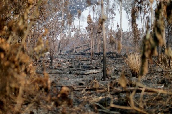 Países no alcanzan metas climáticas | 1000 Noticias