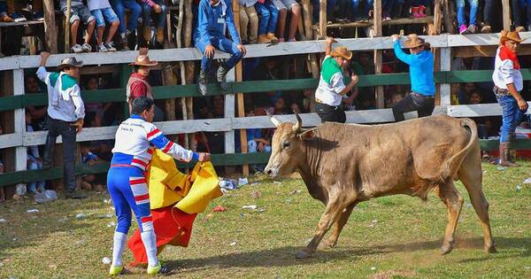 La Nación / Instan a la Cámara de Diputados derogar declaración de interés cultural las corridas de toros