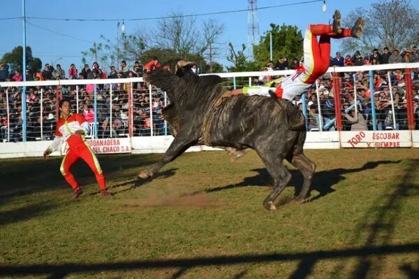 Corrida de toros: concejal de Asunción pide a Diputados anular declaración de interés cultural - Nacionales - ABC Color