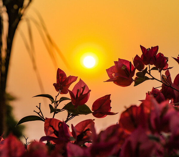 Meteorología pronostica altas temperaturas para los próximos días - .::Agencia IP::.