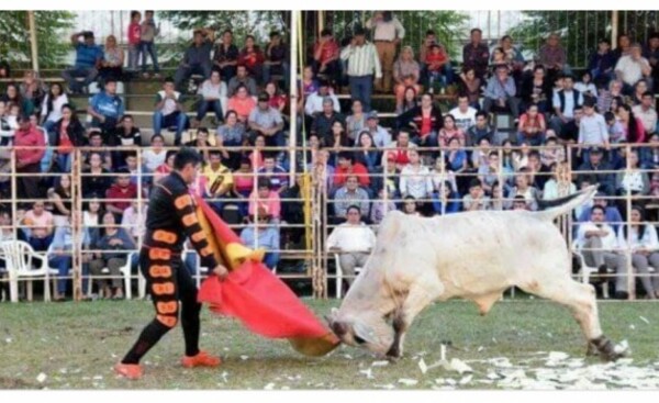 Pese a estar prohibido, declaran de interés cultural el "torín"