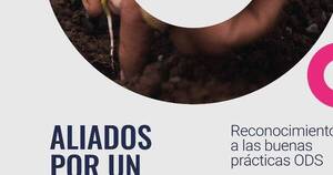 La Nación / Reconocimiento ODS destacará buenas prácticas de desarrollo sostenible en Paraguay
