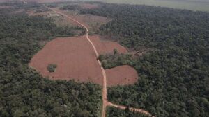 Colonos sostienen que no causó deforestación de tierras indígenas