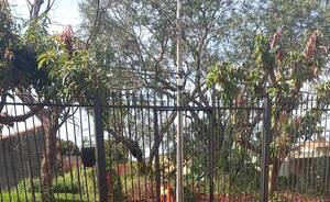 Crónica / ¡ibuenoite piko! Ladrón recomendó a dueños de casa no dejar abierto el portón
